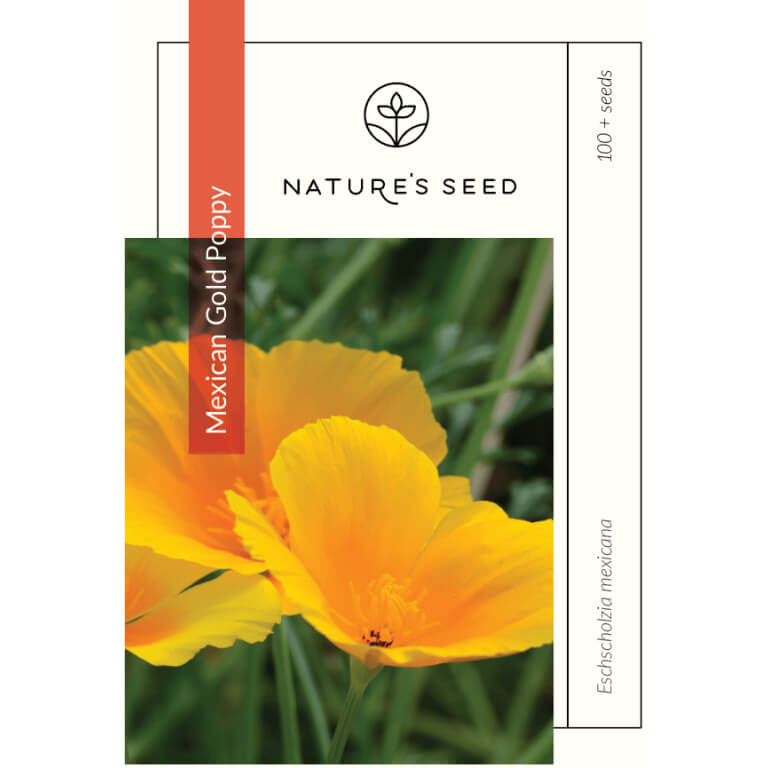 Mexican Gold Poppy-5349