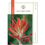 Splitleaf Indian Paintbrush-0