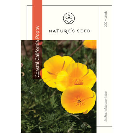 Coastal California Poppy-0