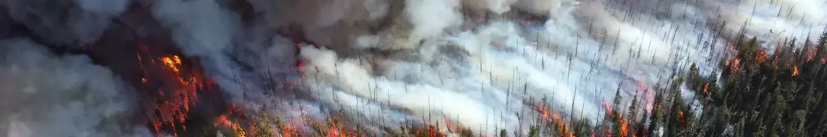 wildfire images