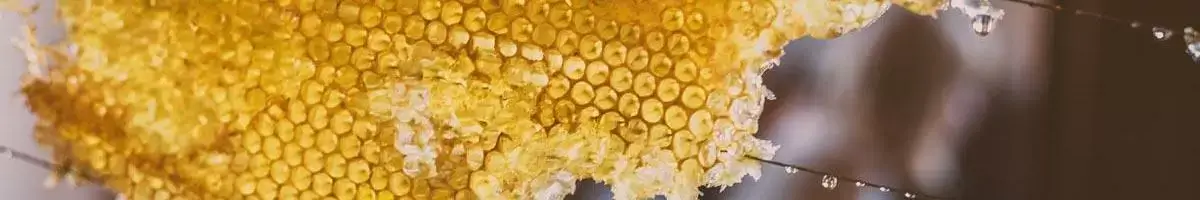 Honey Bee Crop