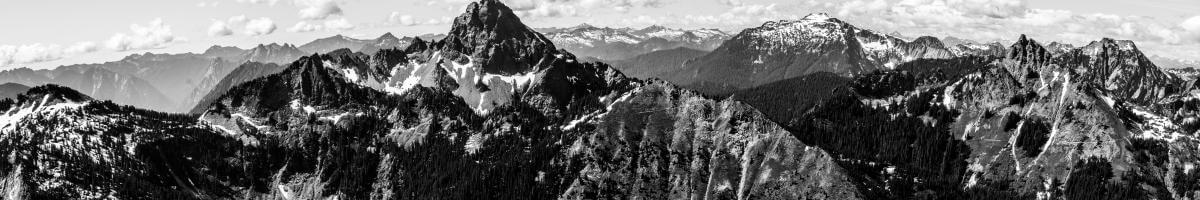 Native Grass to Washington State